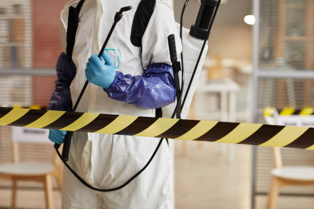Professional Hoarding Cleanup technician working in Meyersville, TX